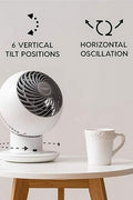 IRIS Woozoo Globe Multi - Directional 5 - Speed Oscillating Fan [2024 Model] - with White | Sold by Uncle Wiener's Wholesale