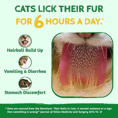 Just Try Feline Grass Cat Treats 380g – Assorted Flavor & Cat Grass -Flavoured Treats for Cats & Kittens - Pet products with Salmon | Sold by Uncle Wiener's Wholesale