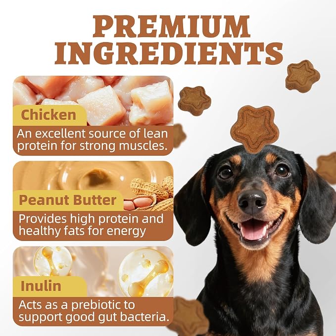 Just Try Peanut Butter Dog Treats 453g – Crunchy Chicken & Peanut Butter Training Biscuits for Dogs, 15 oz Value Pack - Pet products with | Sold by Uncle Wiener's Wholesale