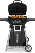 Napoleon PRO285 Stand - with | Sold by Uncle Wiener's Wholesale