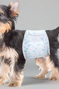Small dog wearing blue reusable male dog diaper belly band
10-pack washable dog wraps for incontinence and potty training
Reusable male dog diapers with leak-proof core
Comfort-fit adjustable dog belly bands for small dogs
Soft and breathable fabric dog diaper wraps with Velcro