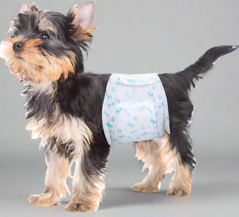 Small dog wearing blue reusable male dog diaper belly band
10-pack washable dog wraps for incontinence and potty training
Reusable male dog diapers with leak-proof core
Comfort-fit adjustable dog belly bands for small dogs
Soft and breathable fabric dog diaper wraps with Velcro