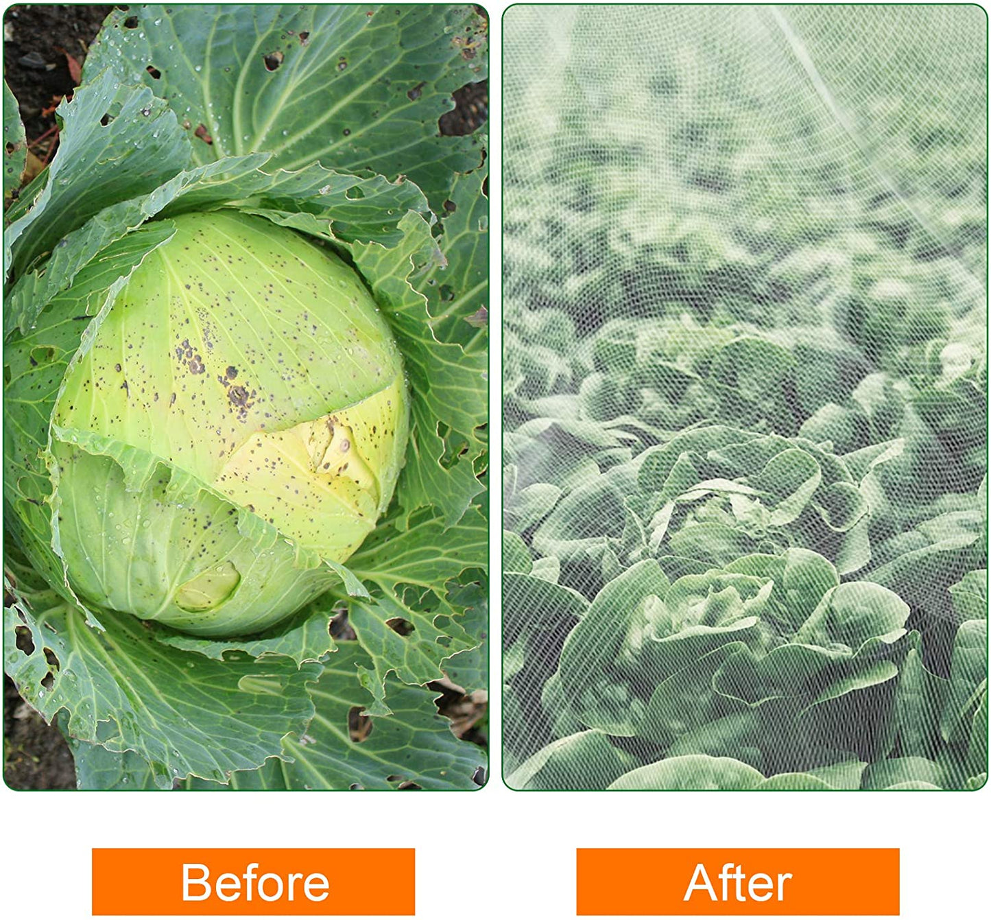 10x20 FT Durable Bug Netting for Garden Plants

Heavy-Duty Mesh Screen for Greenhouse Insect Protection

Breathable Plant Protection Net for Vegetables and Flowers

