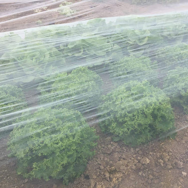 10x20 FT Durable Bug Netting for Garden Plants

Heavy-Duty Mesh Screen for Greenhouse Insect Protection

Breathable Plant Protection Net for Vegetables and Flowers


