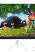 100 inch tripod pull-up projector screen with 16:9 aspect ratio
TS100 portable projector screen setup for outdoor use
Projector screen for classroom and business presentations
Matte white tripod screen with black masking borders
TS100 projection screen portable setup with stand
