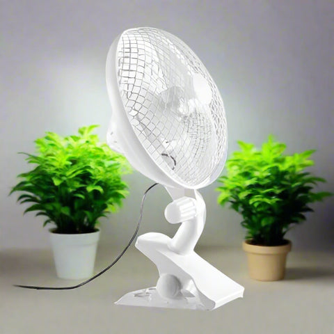 1000W LED grow light with double chips and full spectrum
Inline fan and carbon filter for indoor plant grow tent
Digital thermometer hygrometer for hydroponic grow room
Complete 1000W hydroponic kit with accessories
Indoor plant grow system with ventilation setup
Grow tent setup with LED light and fan – Model 71MGK