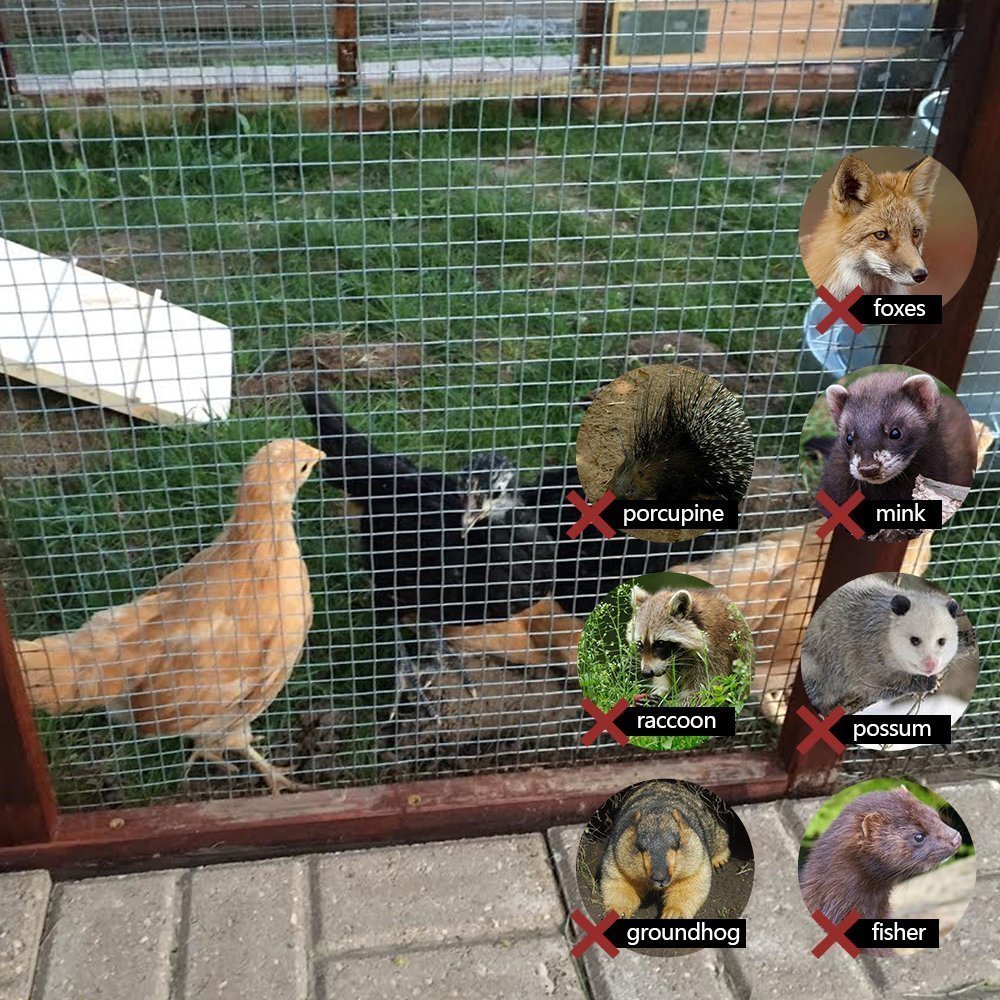 New 1/2 Inch Welded Wire Fence – 48 in x 50 ft Roll | Galvanized Steel Garden & Animal Fencing WW485 - with | Sold by Uncle Wiener's Wholesale