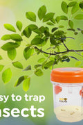 New 2 Pack Solar Powered Bee & Wasp Trap – Effective Insect Control, Eco - Friendly Pest Solution 2408163 - with | Sold by Uncle Wiener's Wholesale
