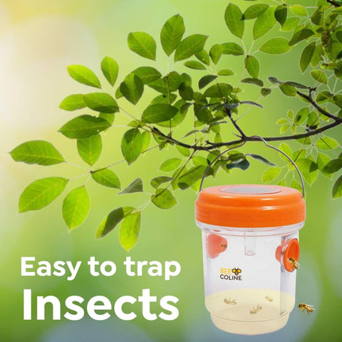 New 2 Pack Solar Powered Bee & Wasp Trap – Effective Insect Control, Eco - Friendly Pest Solution 2408163 - with | Sold by Uncle Wiener's Wholesale