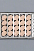 20 EGG AUTOMATIC INCUBATOR - with | Sold by Uncle Wiener's Wholesale