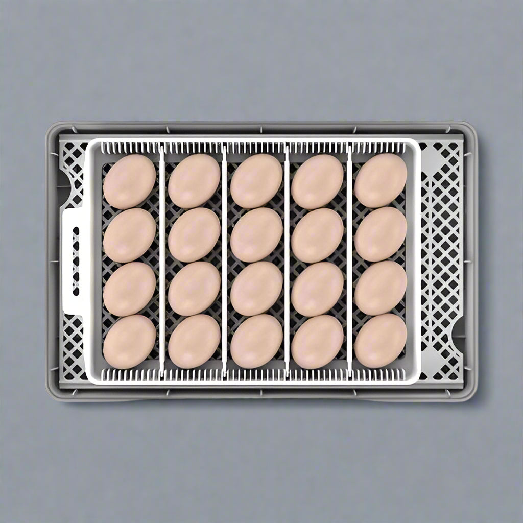 20 EGG AUTOMATIC INCUBATOR - with | Sold by Uncle Wiener's Wholesale