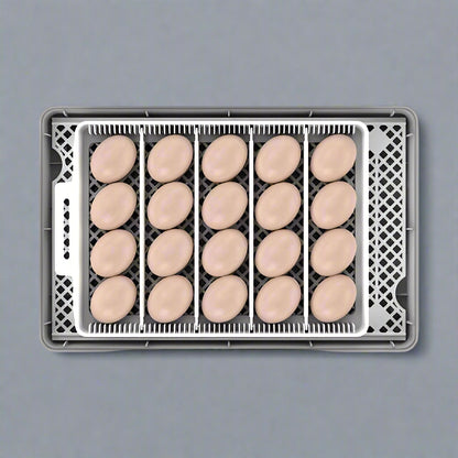 20 EGG AUTOMATIC INCUBATOR - with | Sold by Uncle Wiener's Wholesale