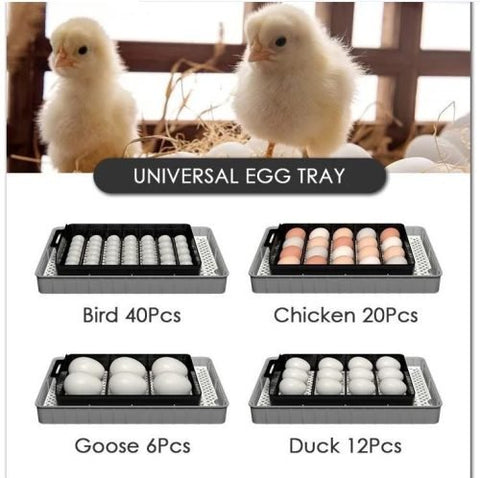 20 EGG AUTOMATIC INCUBATOR - with | Sold by Uncle Wiener's Wholesale