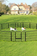 Outdoor 24-panel metal dog playpen in backyard

Heavy-duty dog fence setup with black powder-coated panels

Large modular dog run for multiple pets

Rectangle layout of outdoor dog enclosure

Secure outdoor pet fence with gate access