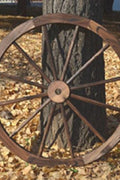 "Rustic wooden wagon wheel 48 inch for garden decor"

"Burnt wood wagon wheel leaning against a fence"

"Farmhouse yard display with decorative wooden wheels"