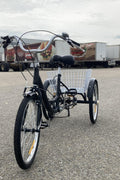 New 24 - Inch Adult Tricycle 3 - Wheel Bicycle with Basket – 7 - Speed Shimano – SKUTRI24ADULT - with 24″ | Sold by Uncle Wiener's Wholesale