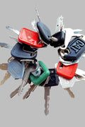 24-Piece Universal Ignition Key Set for Heavy Equipment – Mixed OEM Styles on Ring