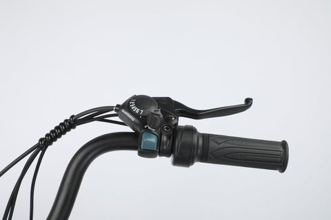 28 inch electric city cruiser bike – side view
350W rear hub motor close-up on e-bike
Lightweight aluminum e-bike with step-through frame
Display panel and handlebar view of electric bike
21-speed electric commuter bike on city road