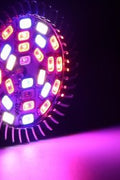 28W LED grow light bulb for indoor plant growth
Full spectrum E27 grow lamp emitting purple light
Hydroponic LED bulb with red blue white UV IR chips
Energy-efficient grow light for seedling and flowering
LED grow light with E27 base and cooling shell