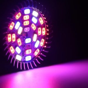 28W LED grow light bulb for indoor plant growth
Full spectrum E27 grow lamp emitting purple light
Hydroponic LED bulb with red blue white UV IR chips
Energy-efficient grow light for seedling and flowering
LED grow light with E27 base and cooling shell