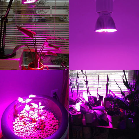 28W LED grow light bulb for indoor plant growth
Full spectrum E27 grow lamp emitting purple light
Hydroponic LED bulb with red blue white UV IR chips
Energy-efficient grow light for seedling and flowering
LED grow light with E27 base and cooling shell