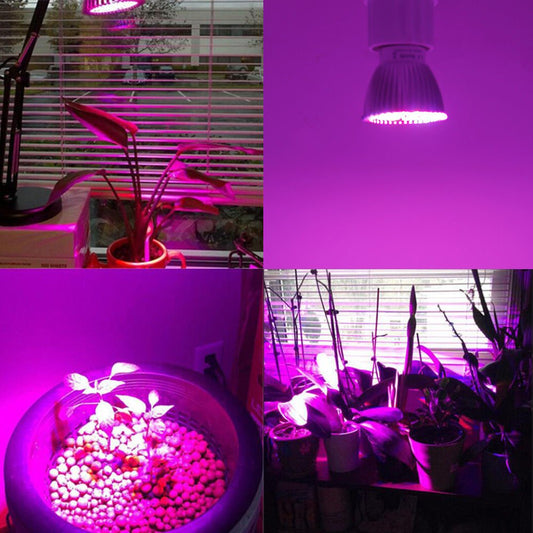 28W LED grow light bulb for indoor plant growth
Full spectrum E27 grow lamp emitting purple light
Hydroponic LED bulb with red blue white UV IR chips
Energy-efficient grow light for seedling and flowering
LED grow light with E27 base and cooling shell