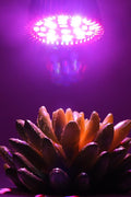 28W LED grow light bulb for indoor plant growth
Full spectrum E27 grow lamp emitting purple light
Hydroponic LED bulb with red blue white UV IR chips
Energy-efficient grow light for seedling and flowering
LED grow light with E27 base and cooling shell
