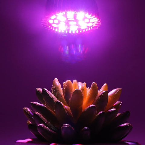 28W LED grow light bulb for indoor plant growth
Full spectrum E27 grow lamp emitting purple light
Hydroponic LED bulb with red blue white UV IR chips
Energy-efficient grow light for seedling and flowering
LED grow light with E27 base and cooling shell