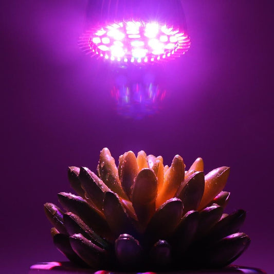 28W LED grow light bulb for indoor plant growth
Full spectrum E27 grow lamp emitting purple light
Hydroponic LED bulb with red blue white UV IR chips
Energy-efficient grow light for seedling and flowering
LED grow light with E27 base and cooling shell