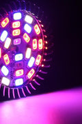 28W LED grow light bulb for indoor plant growth
Full spectrum E27 grow lamp emitting purple light
Hydroponic LED bulb with red blue white UV IR chips
Energy-efficient grow light for seedling and flowering
LED grow light with E27 base and cooling shell