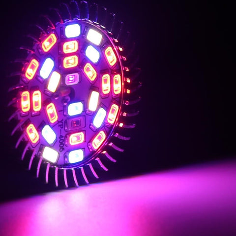 28W LED grow light bulb for indoor plant growth
Full spectrum E27 grow lamp emitting purple light
Hydroponic LED bulb with red blue white UV IR chips
Energy-efficient grow light for seedling and flowering
LED grow light with E27 base and cooling shell