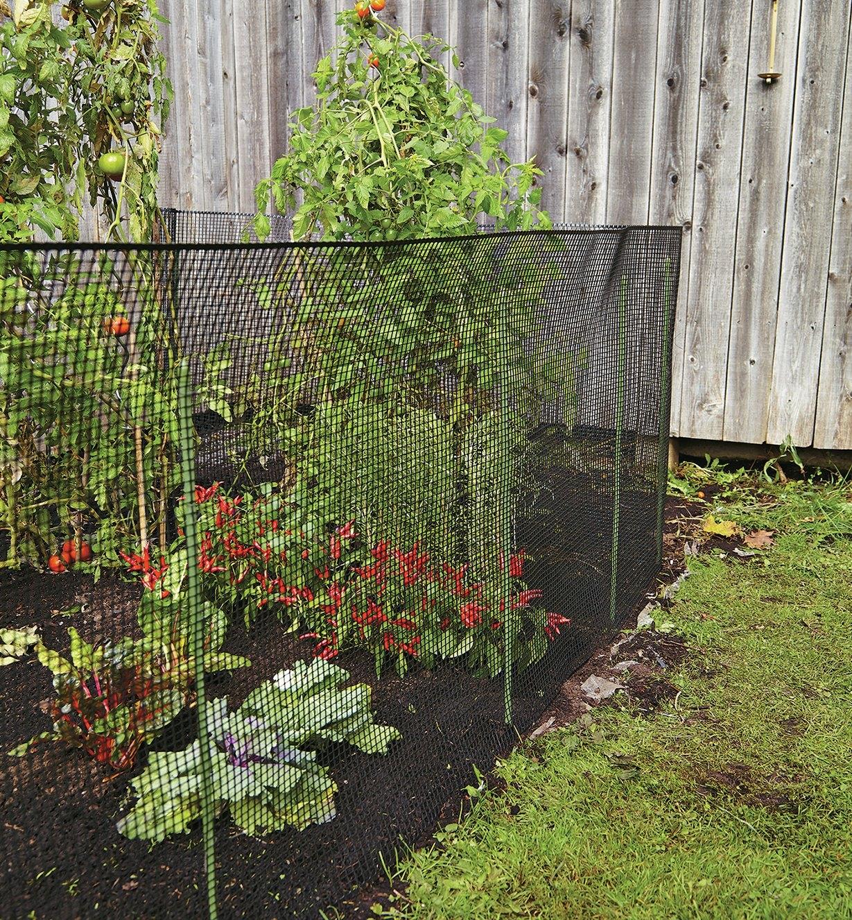 3x15 ft black plastic hardware net roll for garden fencing
Close-up of HDPE chew-proof plastic mesh grid 3/8 inch spacing
Plastic netting around vegetable garden raised beds
Black flexible mesh roll for chicken coops or pet fencing