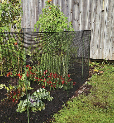 3x15 ft black plastic hardware net roll for garden fencing
Close-up of HDPE chew-proof plastic mesh grid 3/8 inch spacing
Plastic netting around vegetable garden raised beds
Black flexible mesh roll for chicken coops or pet fencing