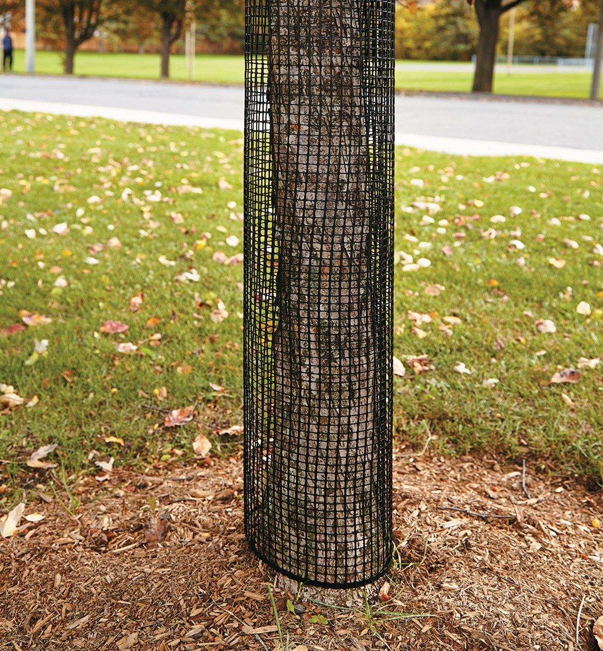3x15 ft black plastic hardware net roll for garden fencing
Close-up of HDPE chew-proof plastic mesh grid 3/8 inch spacing
Plastic netting around vegetable garden raised beds
Black flexible mesh roll for chicken coops or pet fencing