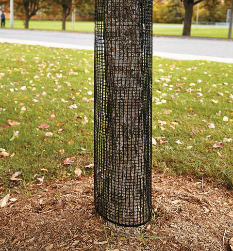 3x15 ft black plastic hardware net roll for garden fencing
Close-up of HDPE chew-proof plastic mesh grid 3/8 inch spacing
Plastic netting around vegetable garden raised beds
Black flexible mesh roll for chicken coops or pet fencing