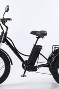 New 3 - Wheel Fat Tire Electric Trike 750W Motor, Heavy - Duty 3 - Wheel E - Bike – 250512T - with | Sold by Uncle Wiener's Wholesale