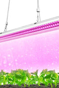 4ft T5 LED Grow Light with red and white spectrum

60W dual spectrum LED grow bar for hydroponics

Plant seedling light for indoor greenhouse use

Hanging grow light for vertical farming setup

T5 LED grow lamp for seedlings and leafy greens