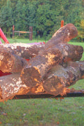 "43 Inch Heavy Duty Clamp On Bucket Forks for Tractor"

"2,000 LB Capacity Pallet Forks for Skid Steer and Tractor"

"Clamp On Fork Attachments for Tractor Buckets"

"Heavy Duty Steel Bucket Forks for Moving Pallets and Logs"