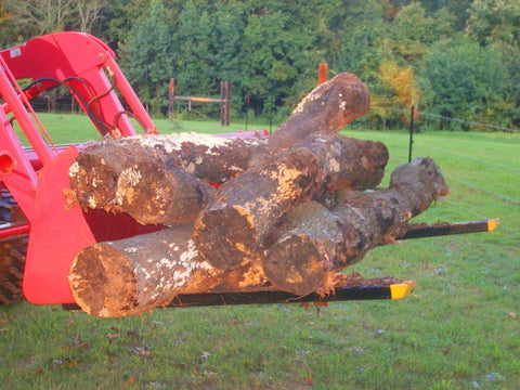 "43 Inch Heavy Duty Clamp On Bucket Forks for Tractor"

"2,000 LB Capacity Pallet Forks for Skid Steer and Tractor"

"Clamp On Fork Attachments for Tractor Buckets"

"Heavy Duty Steel Bucket Forks for Moving Pallets and Logs"