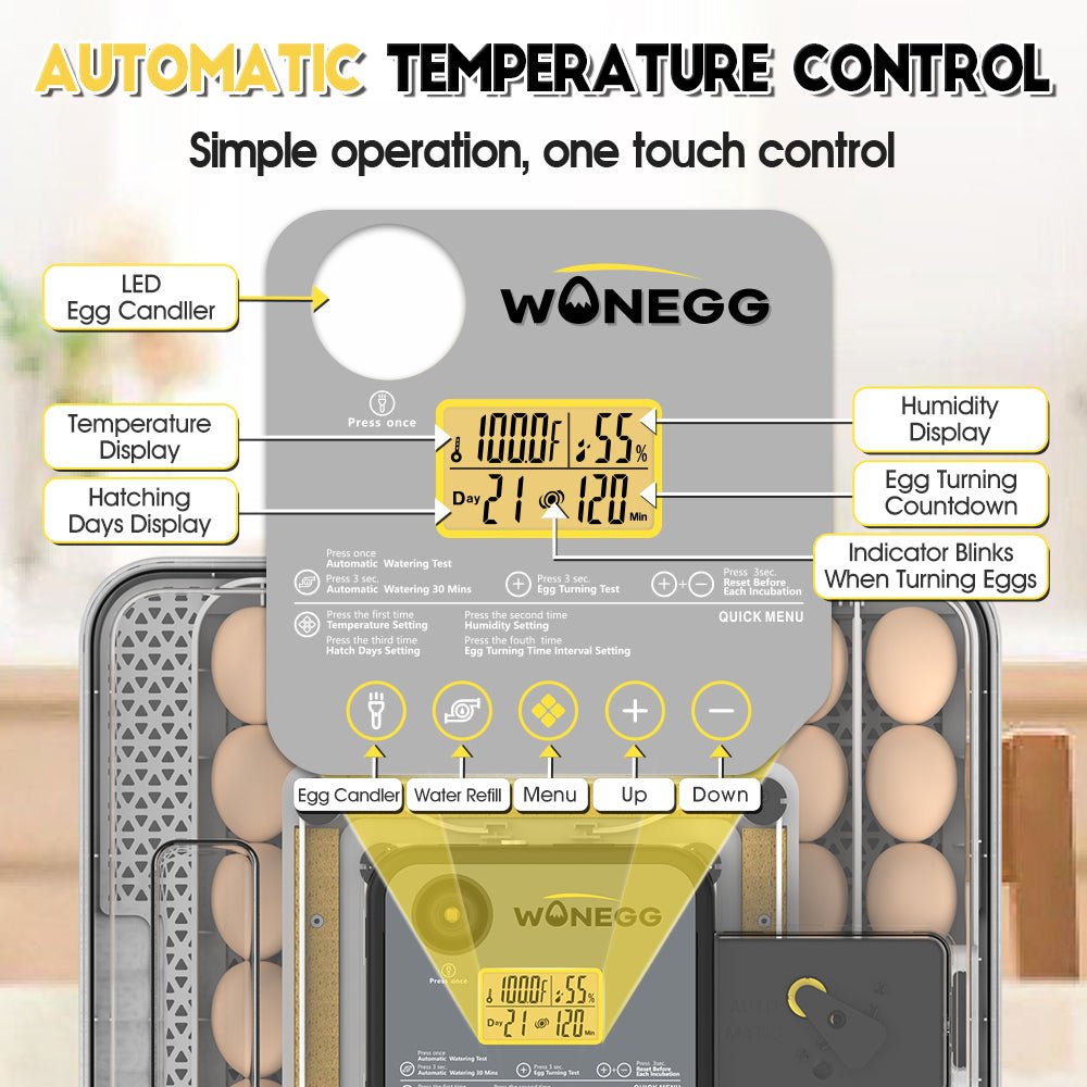 Annotated diagram of automatic temperature control system on incubator