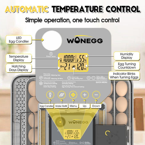 Annotated diagram of automatic temperature control system on incubator