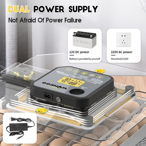 Dual power supply ports for uninterrupted operation of incubator