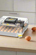 Angled view of digital 48-egg incubator on countertop with eggs loaded