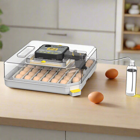Angled view of digital 48-egg incubator on countertop with eggs loaded