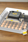 Top-down view of automatic poultry egg incubator with LCD display