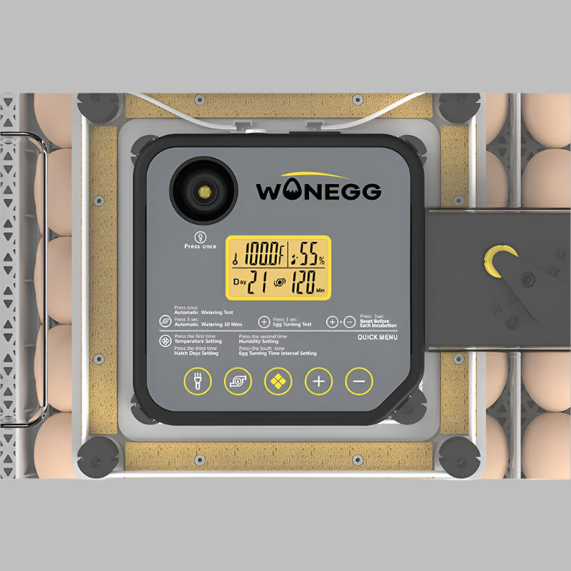Close-up of temperature and humidity control panel on egg incubator