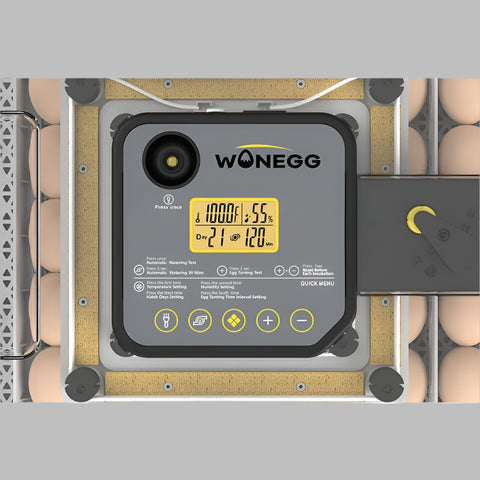 Close-up of temperature and humidity control panel on egg incubator