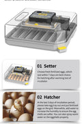 Illustration of 3-in-1 hatcher, setter, and brooder functionality