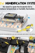 Graphic showing humidification system and bottle setup for water control