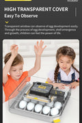 Transparent viewing cover showing kids monitoring hatching process